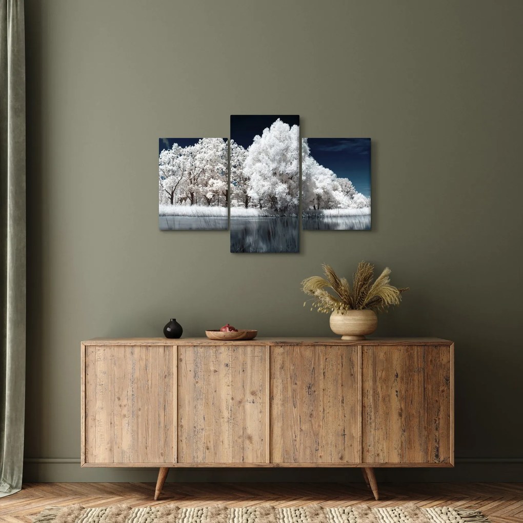 Kép - Hófehér fák (90x60 cm)