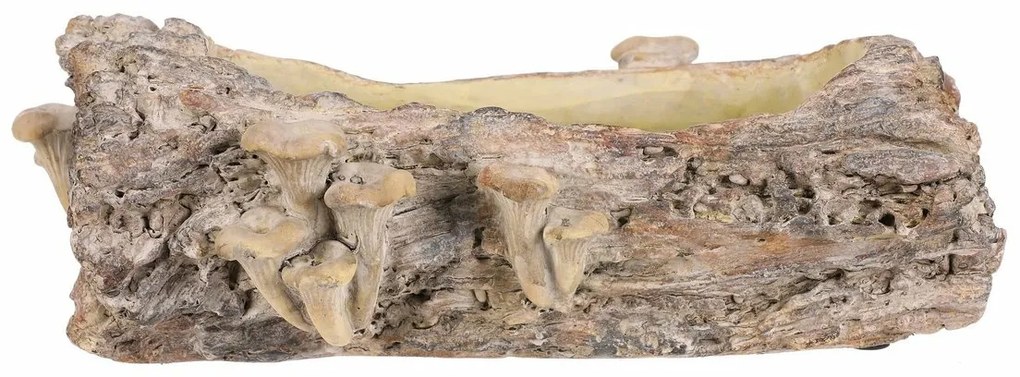 Beton burkolat - virágládika, fa gombákkal, 36 x18 x 13 cm, barna