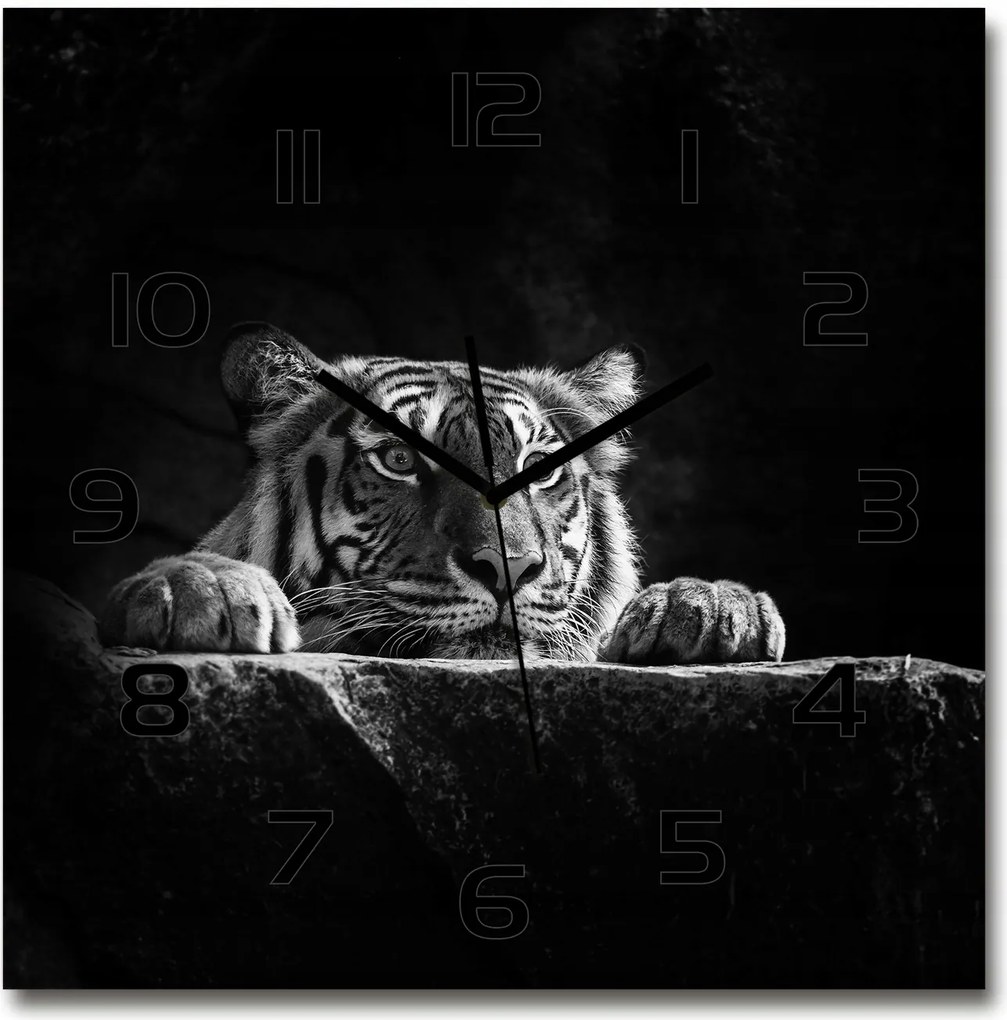 Nagy négyzet alakú üveg falióra Tigris 60x60