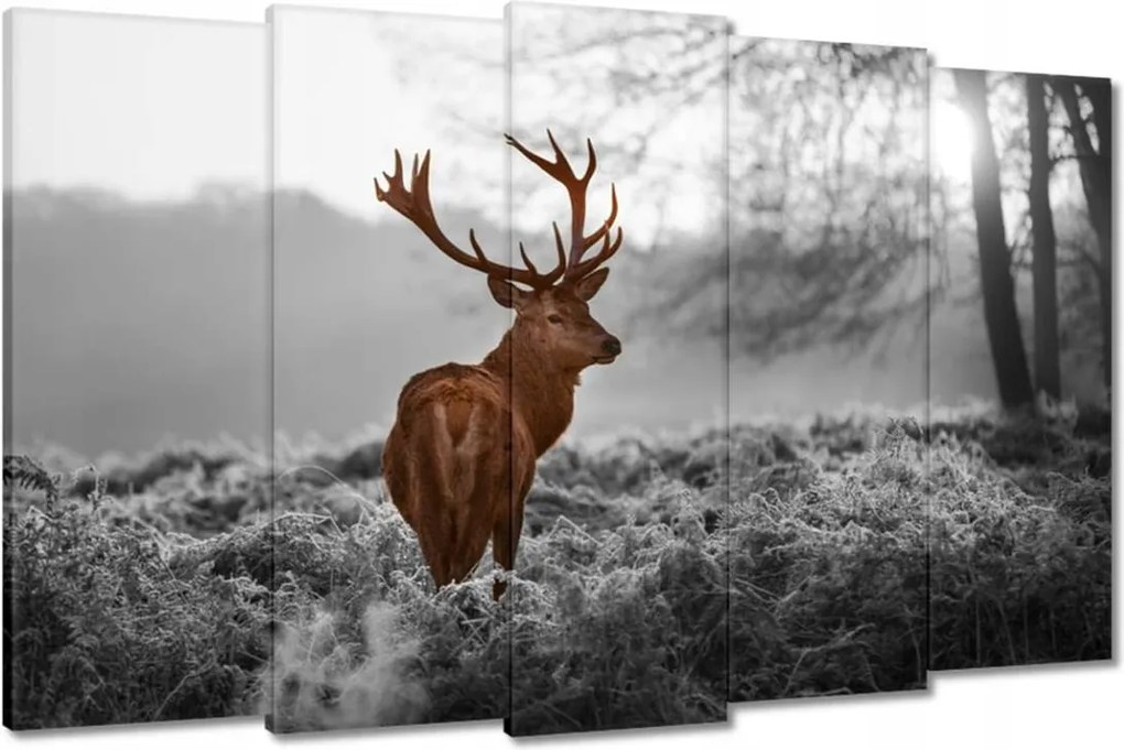 Vászonkép 150x95 Méltóságteljes szarvas szarvakkal