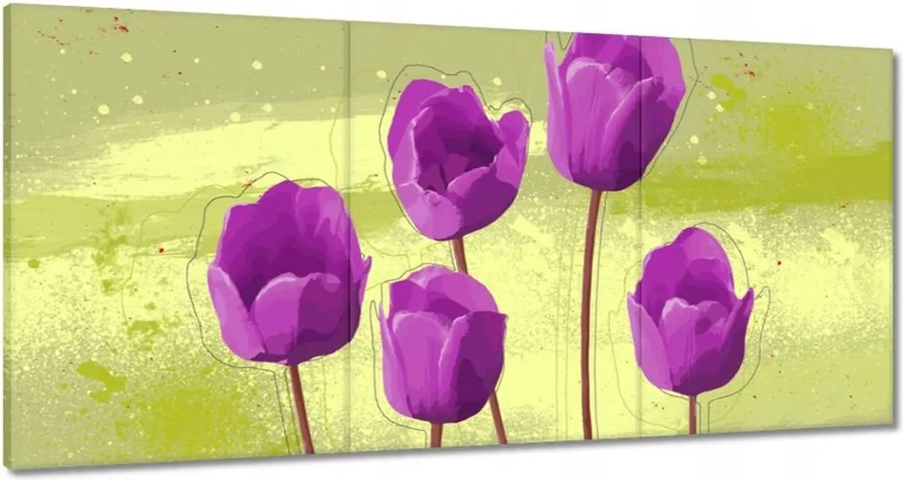 Festmények 120x60 Pipacsok Modern grafika