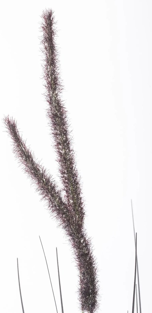Fekete cserepes zöld művirág borókás virágzattal 153x35x35cm