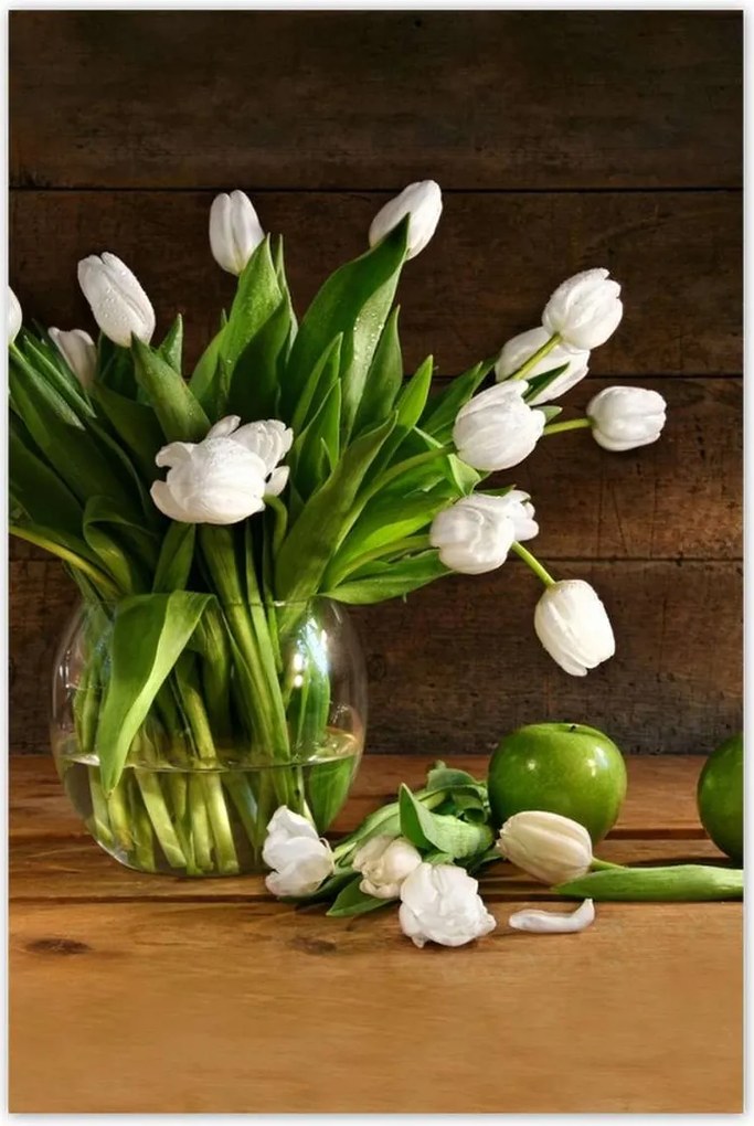 Poszterek 80x120 Fehér tulipánok
