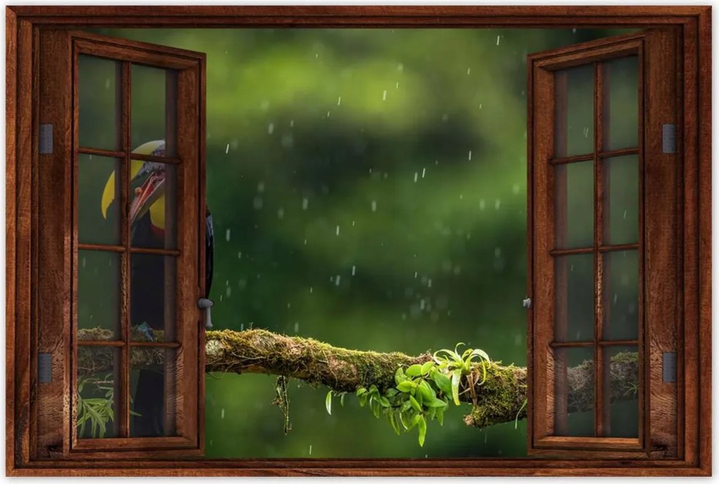 Poszterek 90x60 Madarak