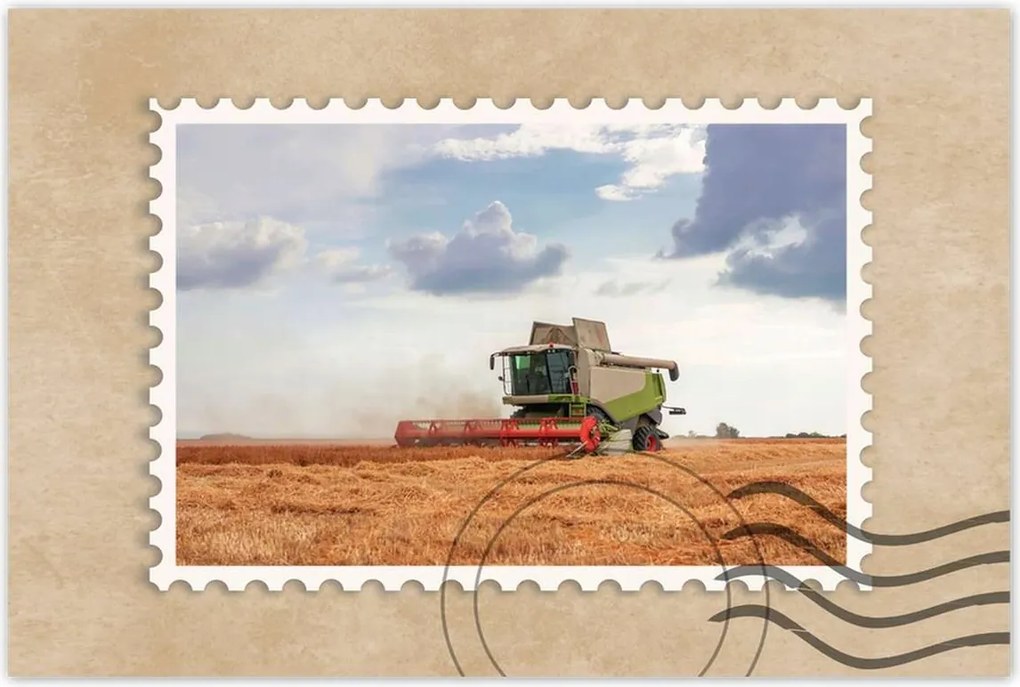 Poszterek 90x60 Kombájn a gabonamezőn