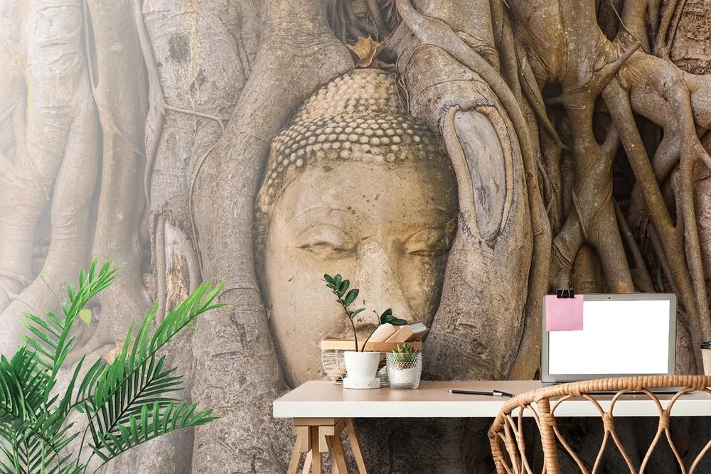 Fotótapéta a Buddha szent fügefája