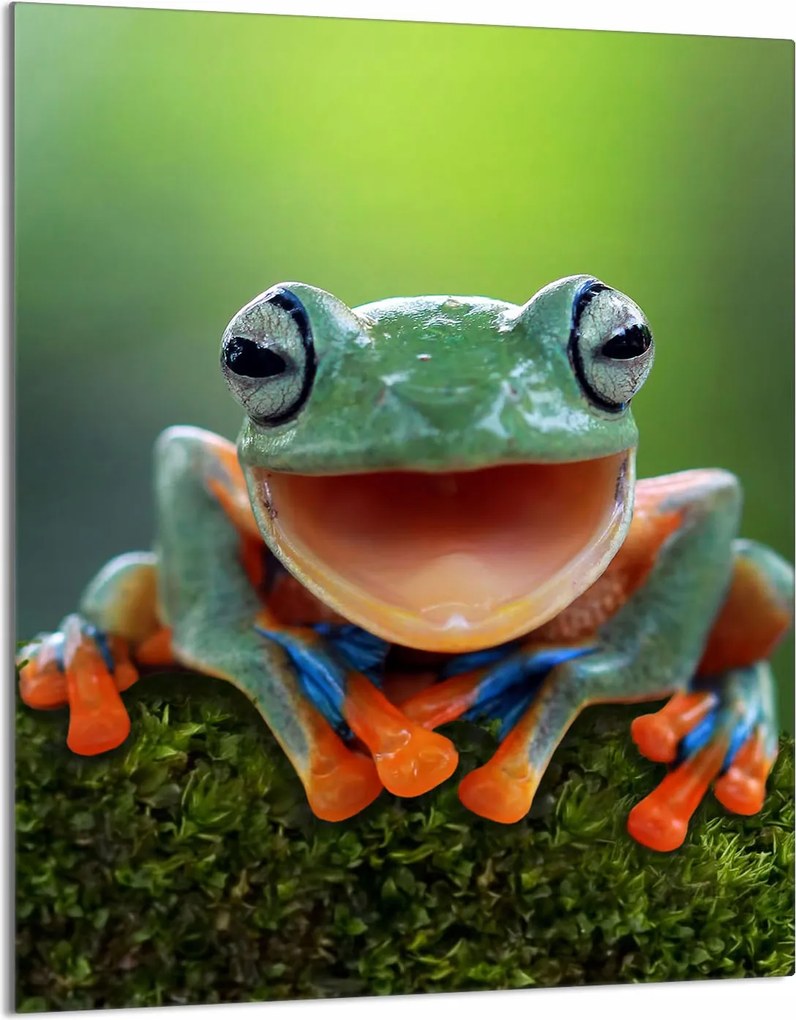 Üveg Vágódeszka 40x52 Béka A Konyhába