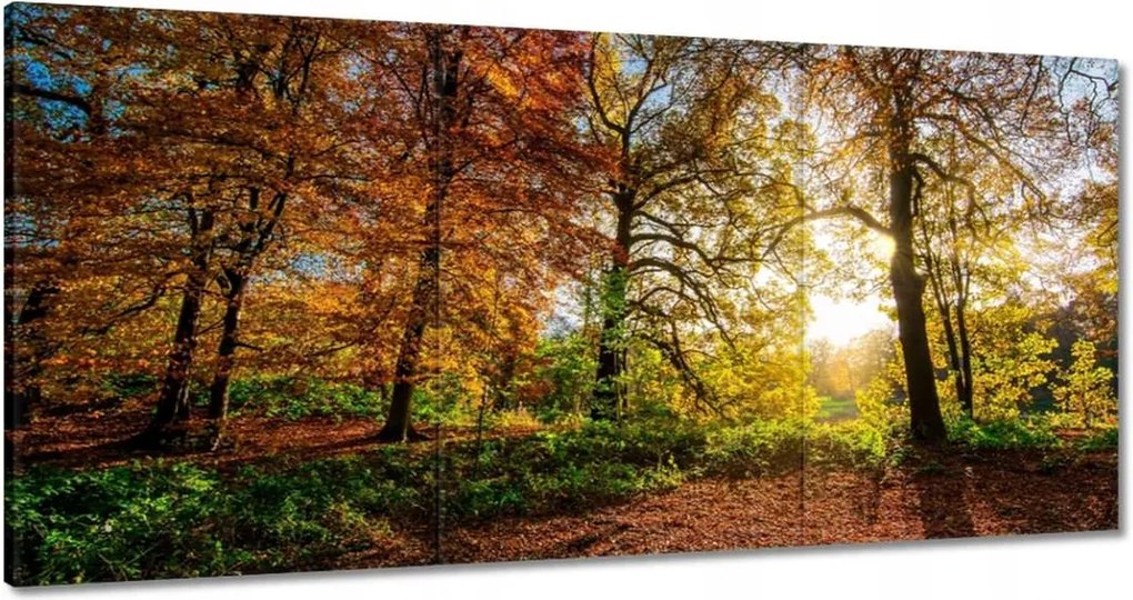 Festmények 120x60 Tájkép