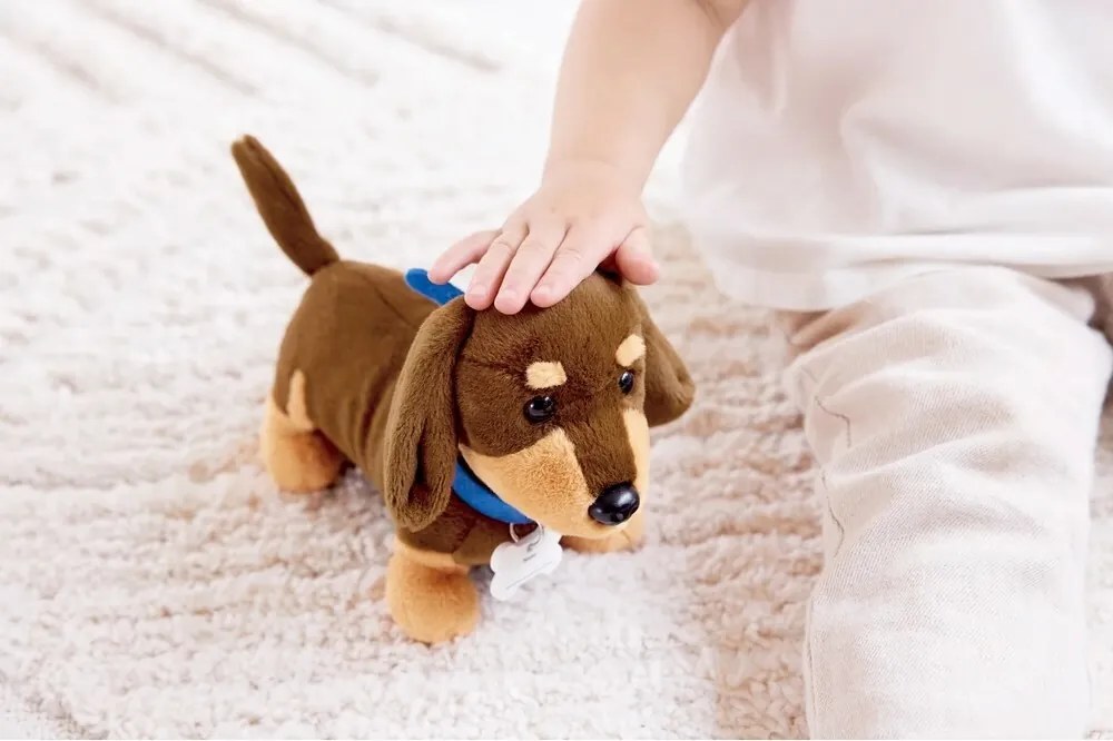 Hape Állatorvos készlet - kiskutyák gondozása