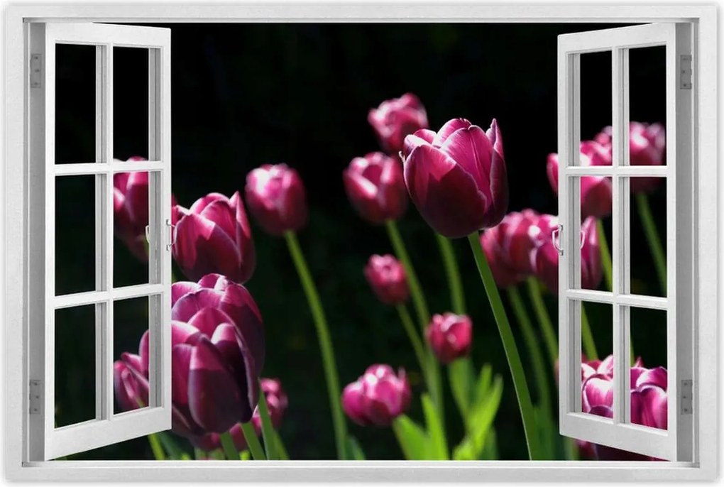 Poszterek 120x80 Lila tulipánok
