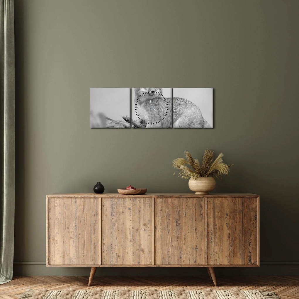 Kép - Szürke róka (órával) (90x30 cm)