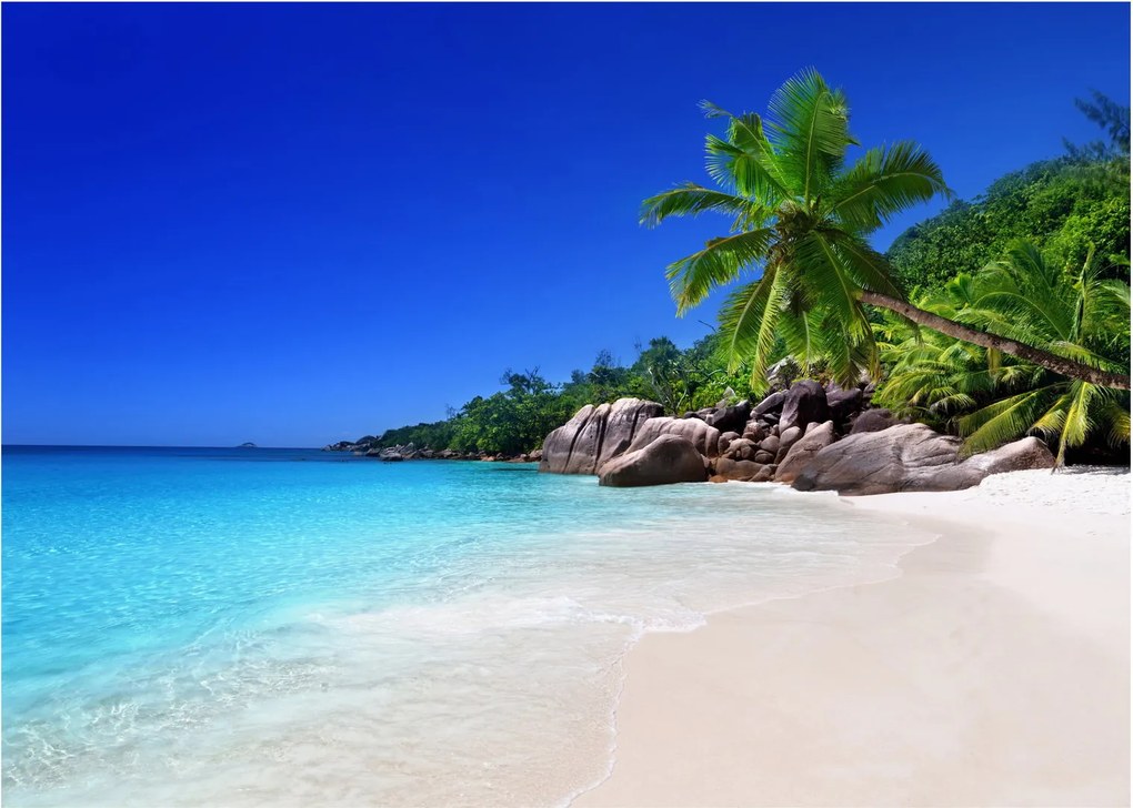 Kép a strandról a Praslin szigeten (70x50 cm)