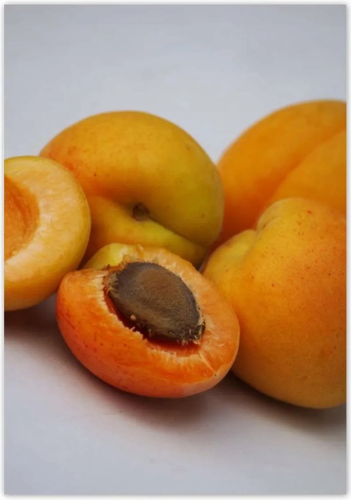 Poszterek 70x100 Sárgabarack Gyümölcsös élvezet