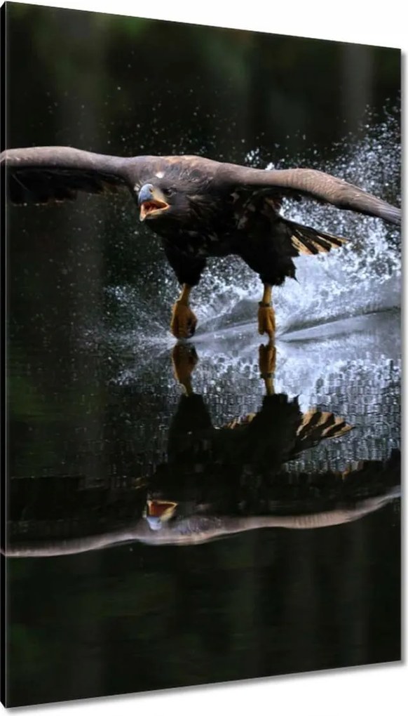 Vászonkép 80x120 Madarak