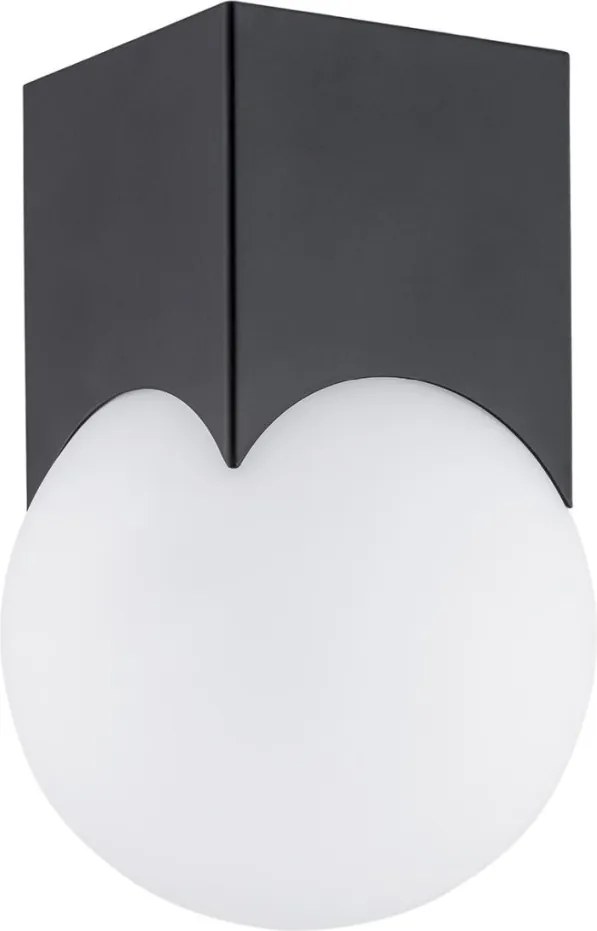 ARGON 4713 AUSTIN Modern Mennyezeti Lámpa Matt Fekete, Opál Szőnyeg E14 IP20