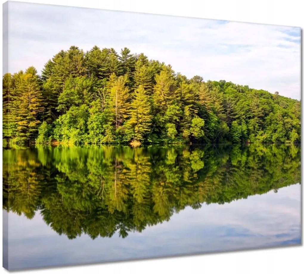 Vászonkép 50x40 Erdő Tó Felhők
