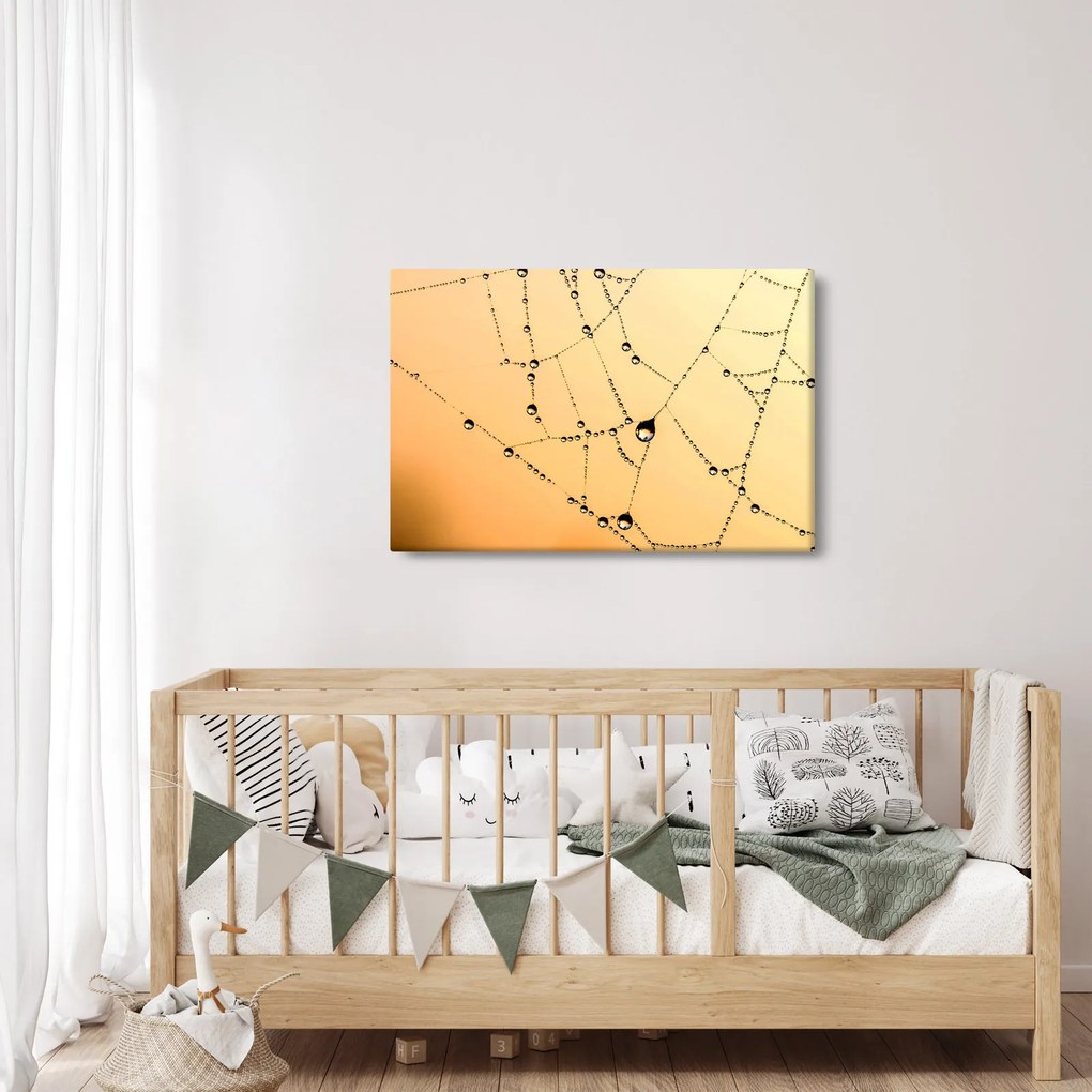 Egy harmatos pókháló képe (90x60 cm)