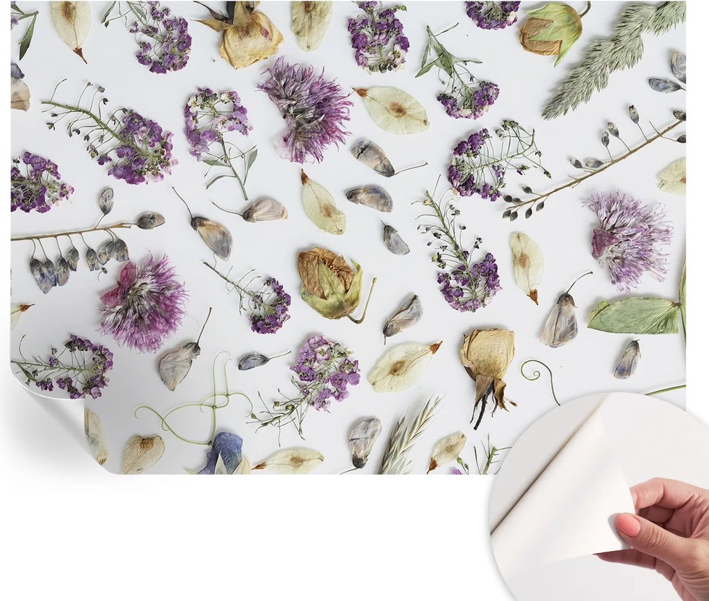 Öntapadós fali fotótapéta Hálószobába Szárított virágok 208x146 cm