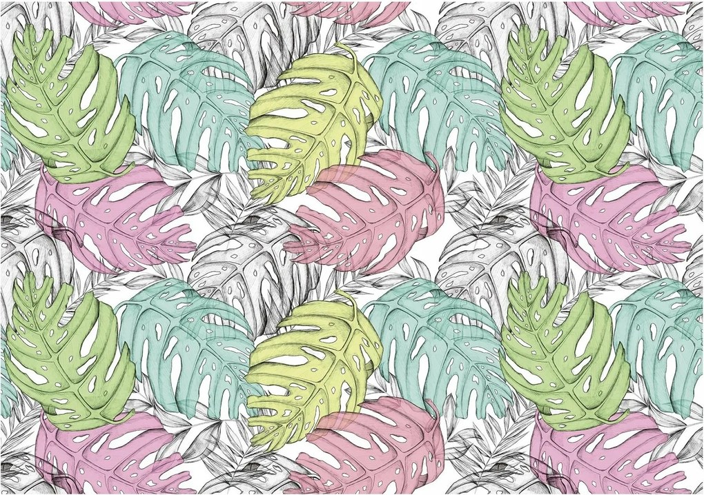 Fotótapéta levelek monstera fotótapéta 312 x 219