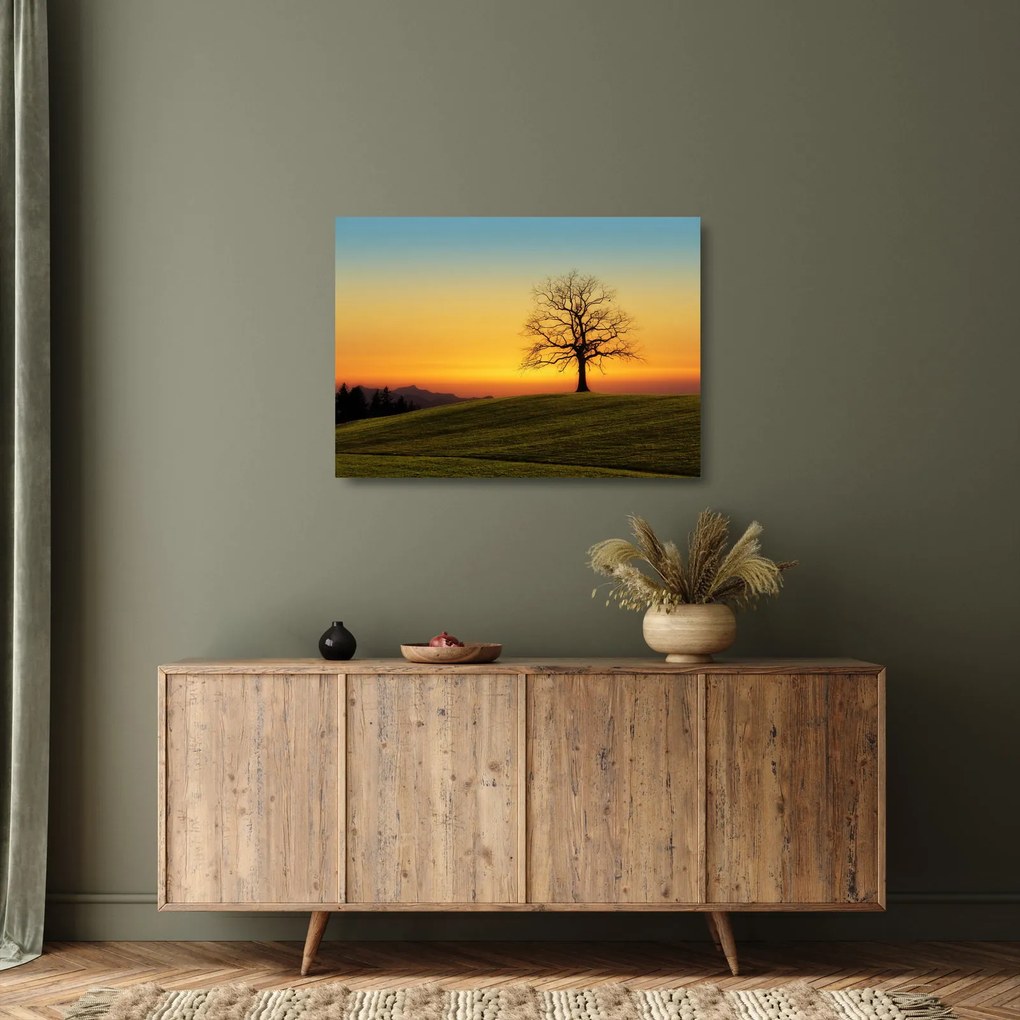 Egy fa képe a mezőn (üvegen) (70x50 cm)
