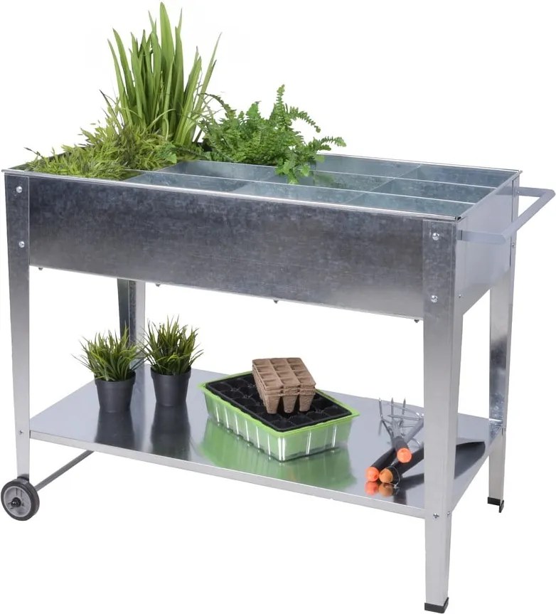 Magaságyás Mariegold – Garden Pleasure