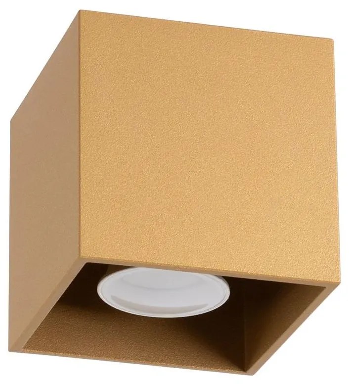 Sollux Sl.1182 - Spotlámpa QUAD 1xGU10/10W/230V arany