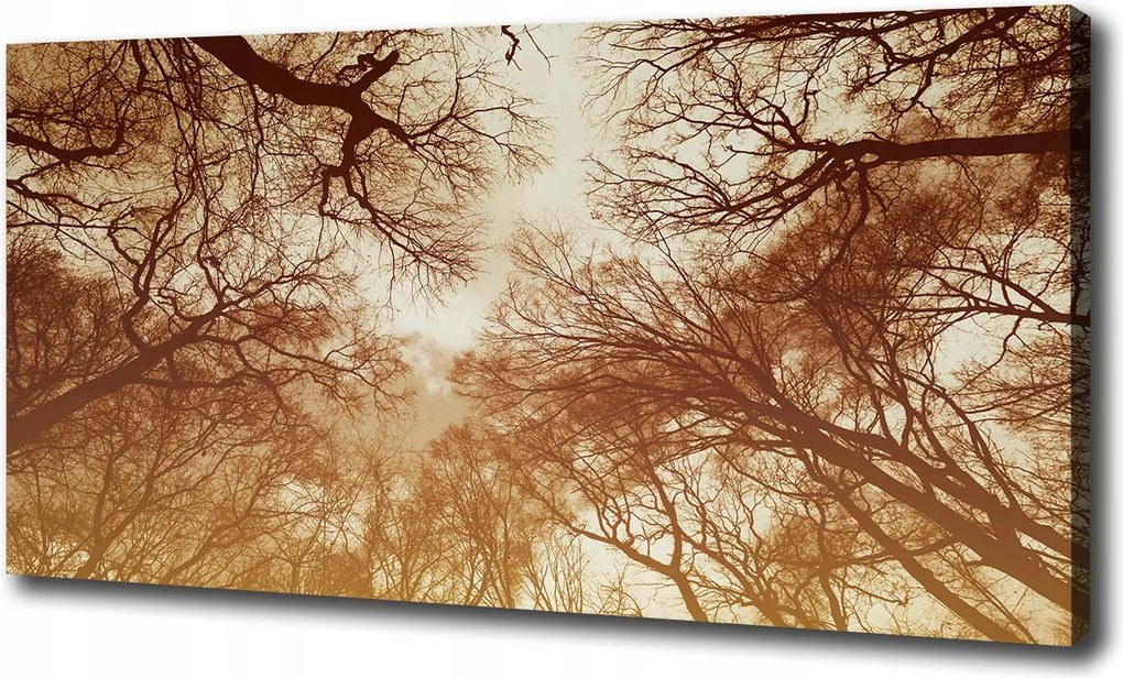 Vászonkép modern erdő 100x70 cm