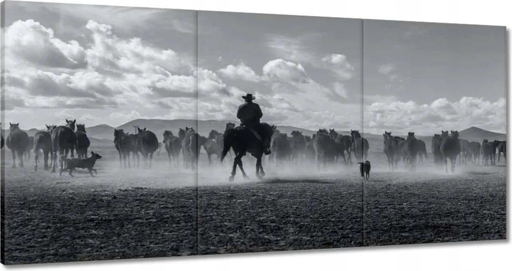 Vászonkép 180x90 CowBoy lóháton Lovak