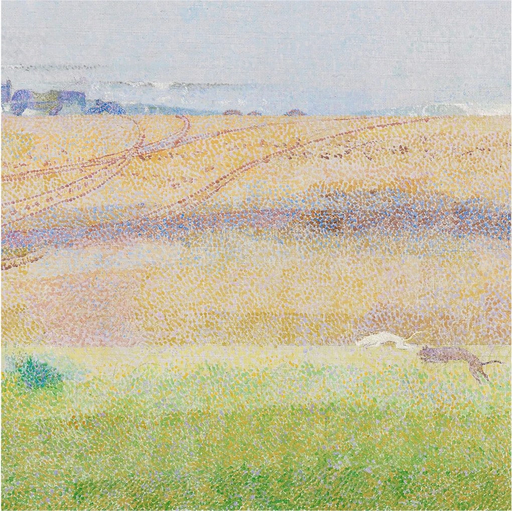 Flizelin fotótapéta Flizelin Design Nyári mező 250x250 Ragasztó