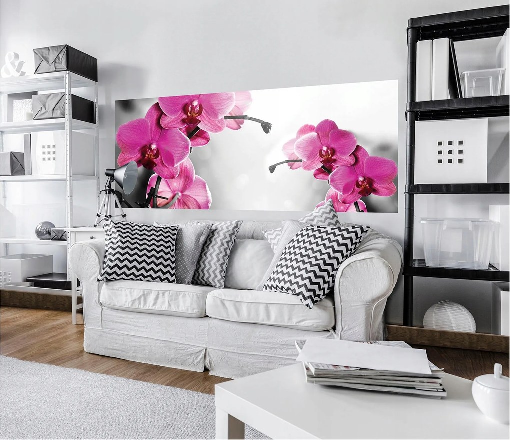 Flizelin fotótapéta Orchideák finom virágok a nappaliba 250x104 +ragasztó