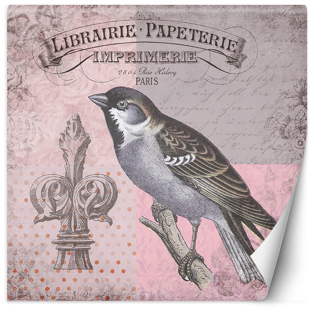 Gario Fotótapéta Természetes madár rózsaszín háttérrel - Andrea Haase Anyag: Vlies, Méret: 250 x 250 cm