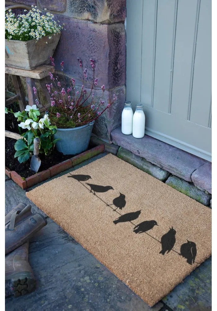 Kókuszrost lábtörlő 40x60 cm Birds On a Wire – Artsy Doormats