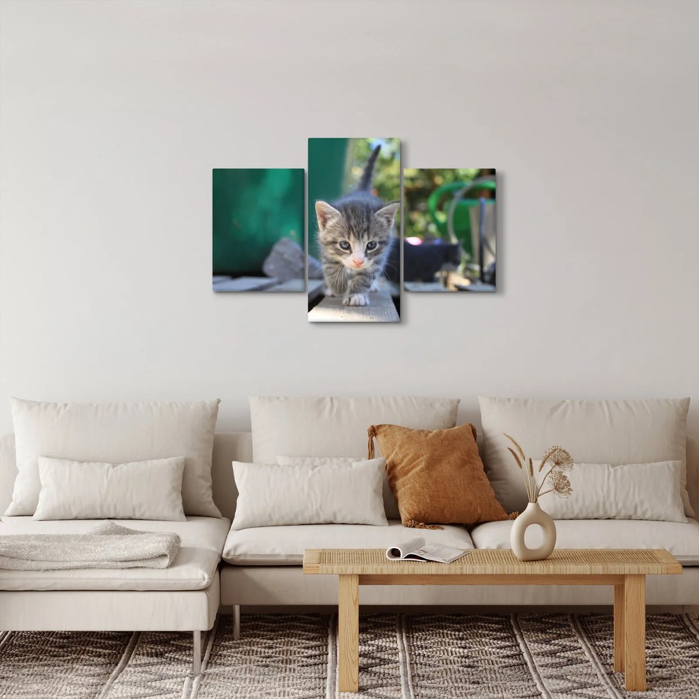Cica képe (90x60 cm)