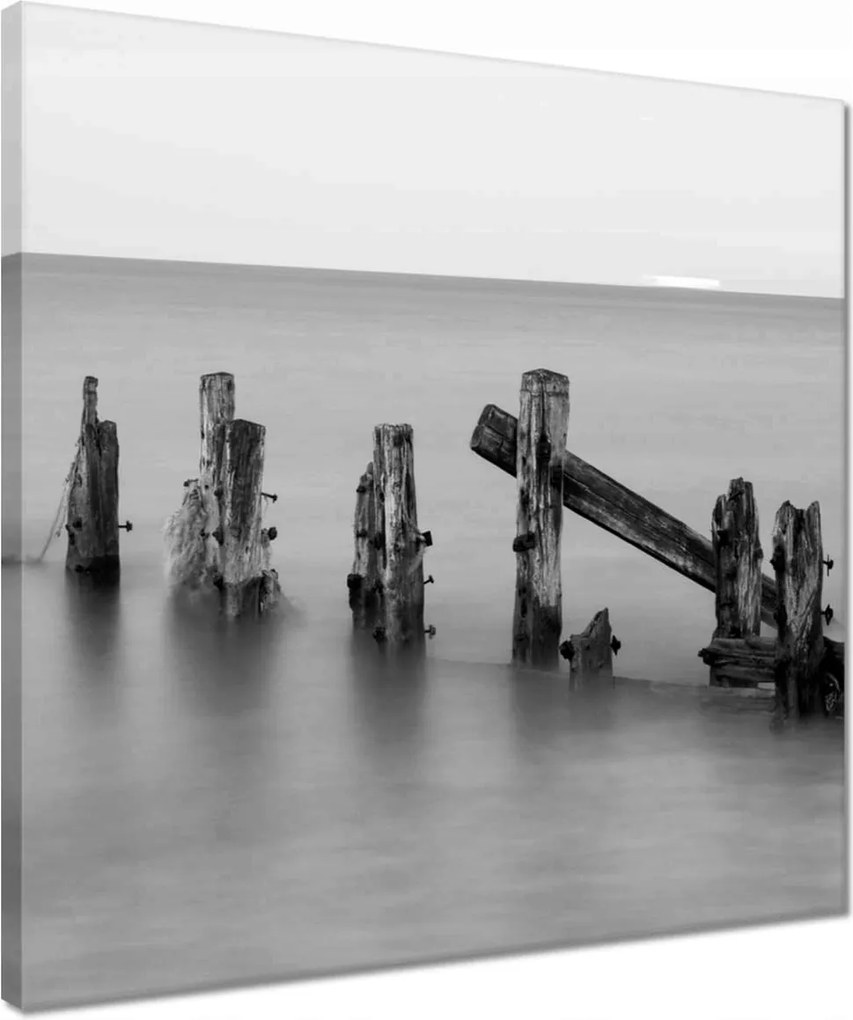 Vászonkép 40x40 Fa hullámtörő