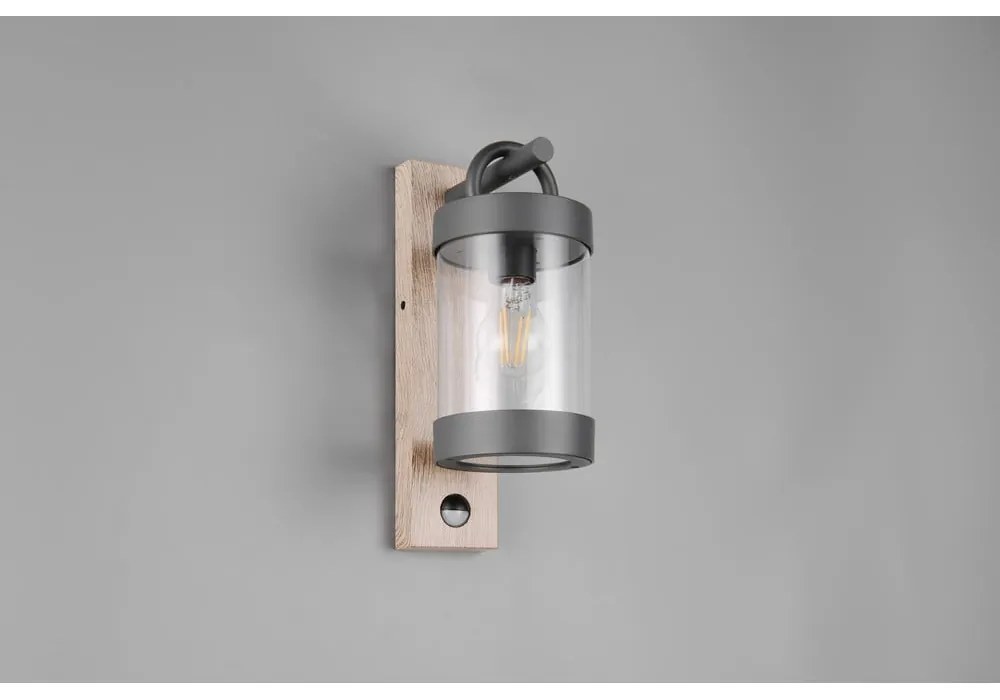 Fali kültéri lámpa (magasság 33 cm) Sambesi – Trio