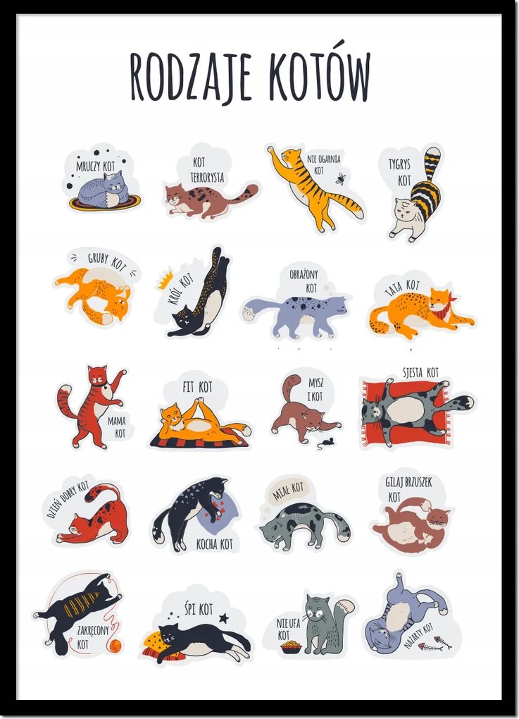 Vászonkép Poszter Keretben Macskák típusai Macskák vicces cicák P2419_43x53