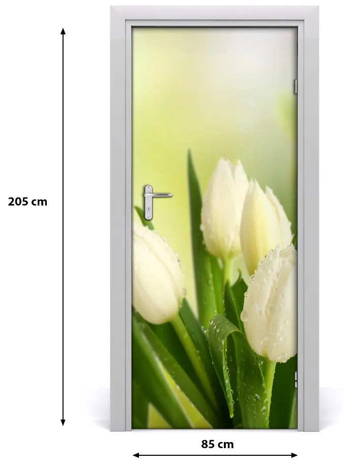 Poszter tapéta ajtóra fehér tulipán 75x205 cm