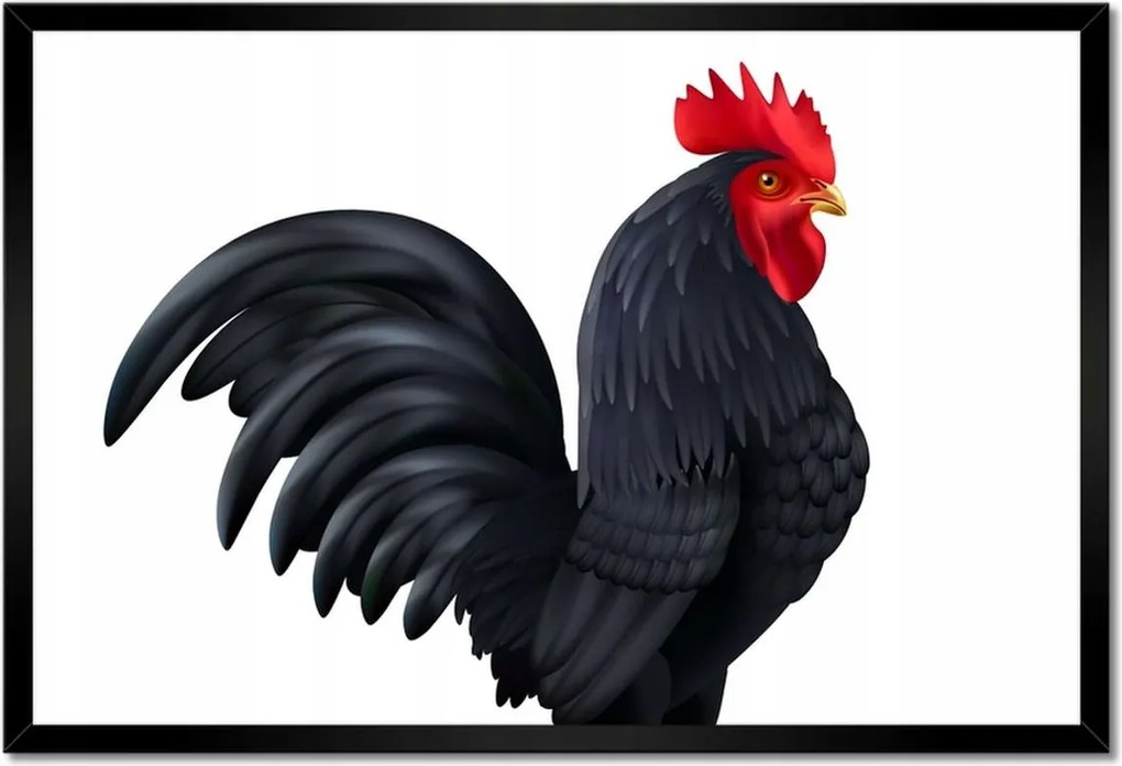 Poszterek keretben 60x40 Bende megeszi a kakast