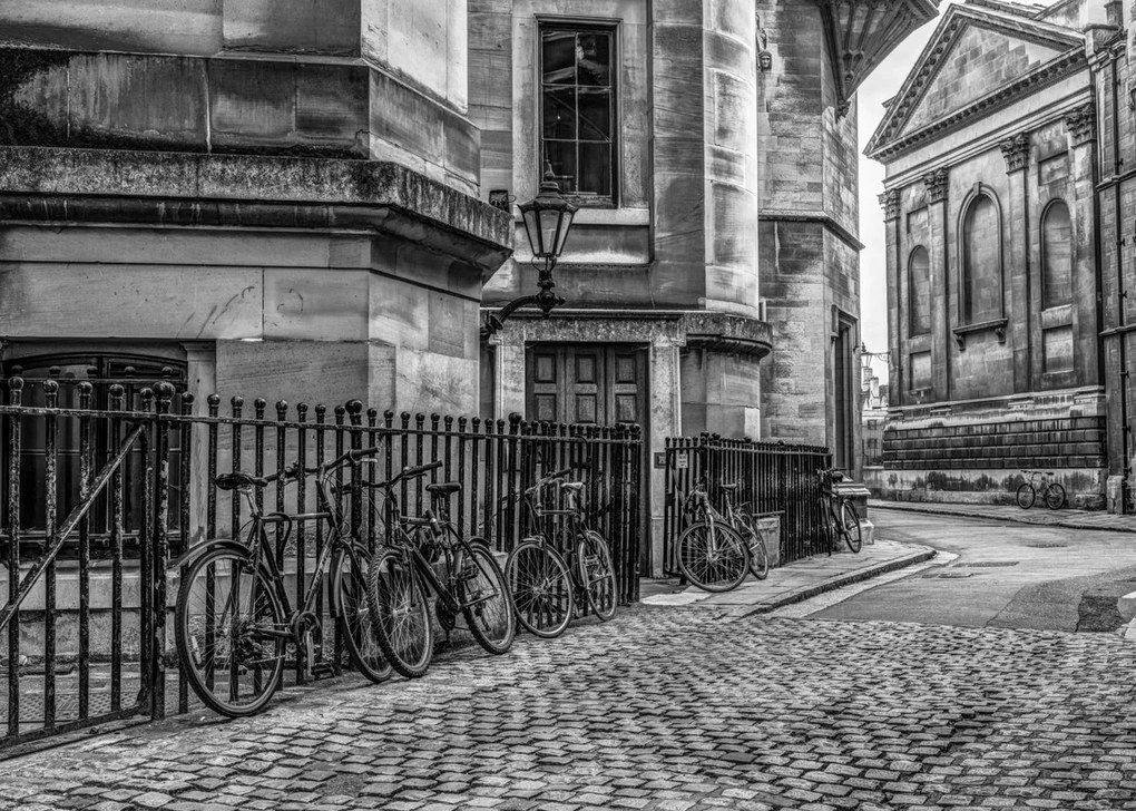 Poszter 70x50cm Kerékpárok a járdán, Assaf Frank