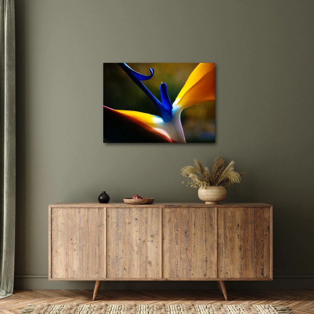 Kép - Egzotikus virág (70x50 cm)