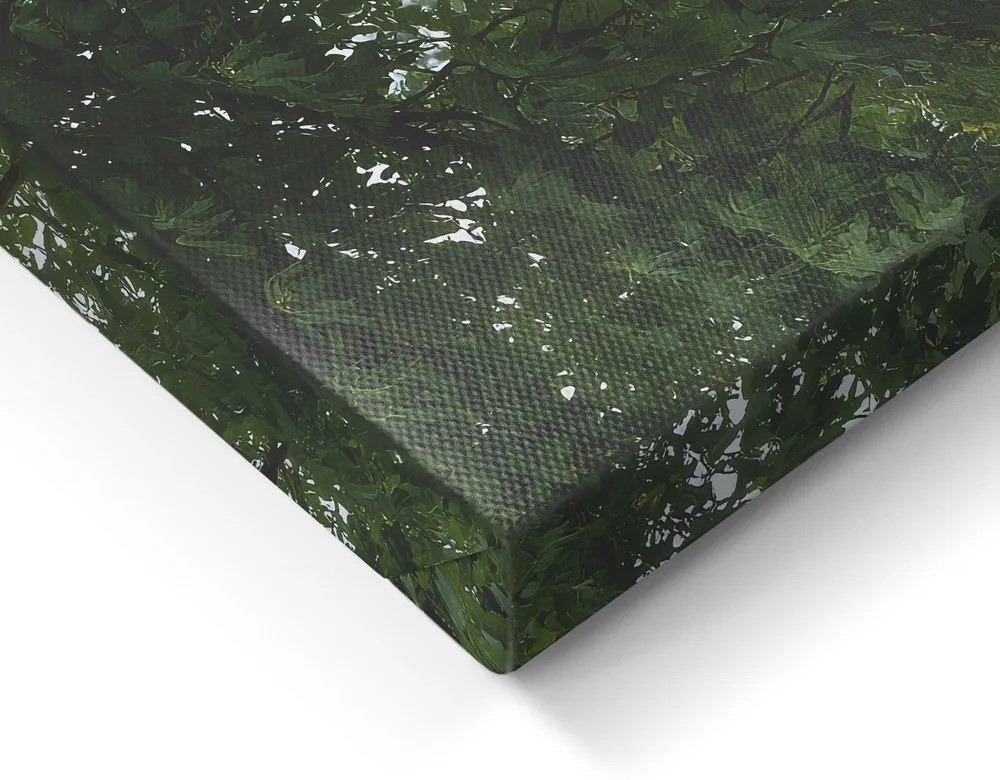 Kép 60x80 cm Garden Gate – Styler