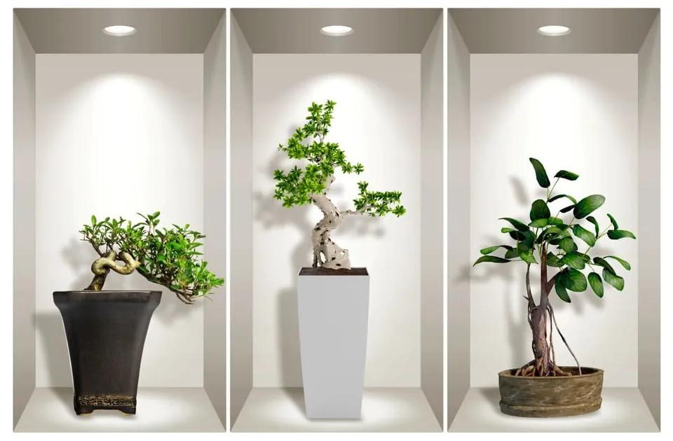 Bonsai Plants 3 db-os 3D falmatrica szett - Ambiance