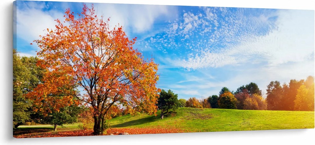 Kép - Őszi táj (120x50 cm)