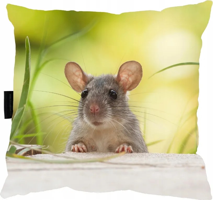 Egérpárna 40x40 alváshoz Ajándék puha kétoldalas töltet