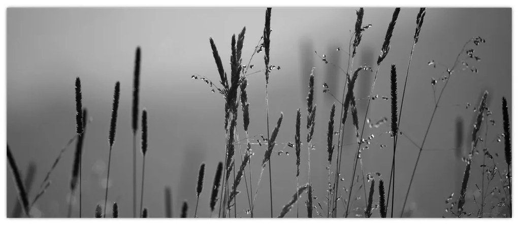 Kép - Fűszálak (120x50 cm)