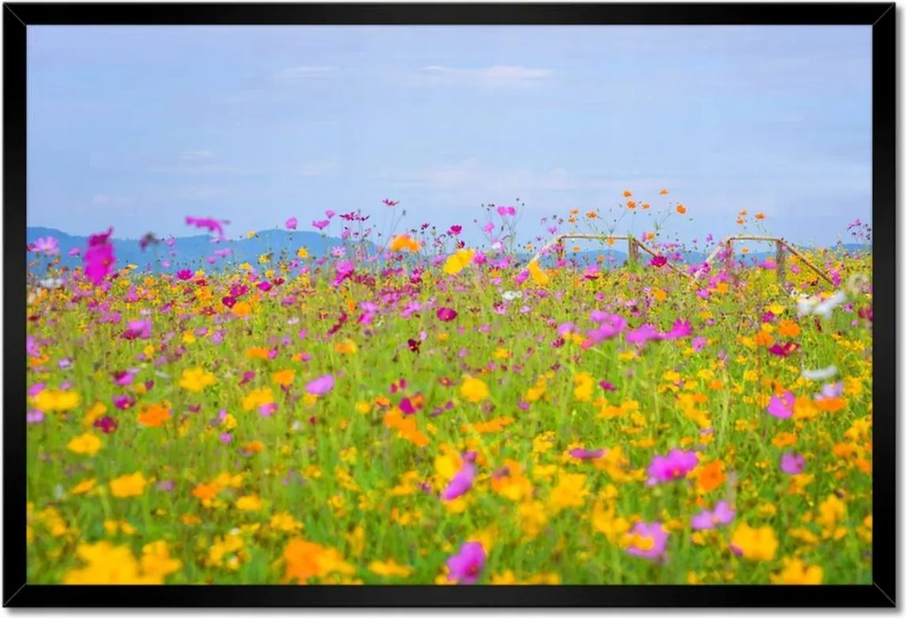 Poszterek keretben 60x40 Virágtenger Virágok