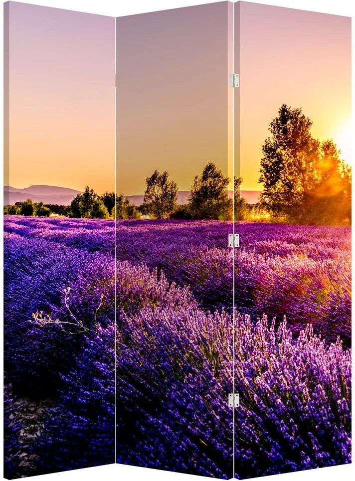 Paraván - Levandula mező (126x170 cm)