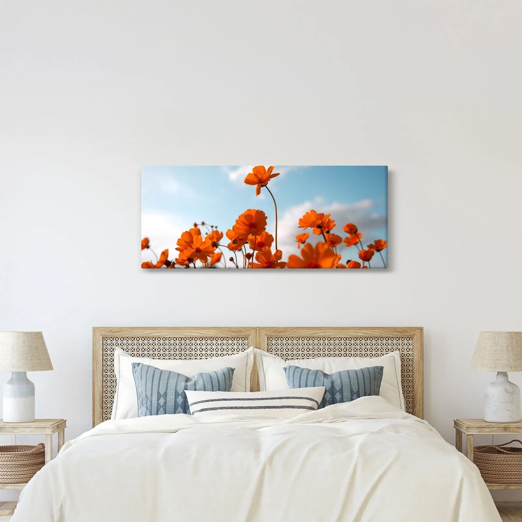 Kép - Réti virágok (120x50 cm)