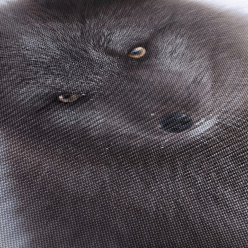 Róka képe (120x50 cm)