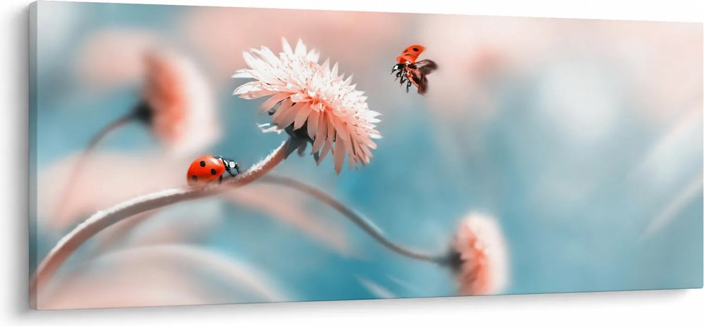 Kép - Katicabogarak a virágon (120x50 cm)